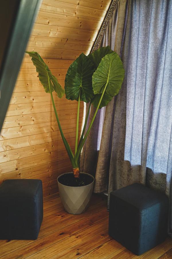 Kazbegi Folk Apartment Ngoại thất bức ảnh